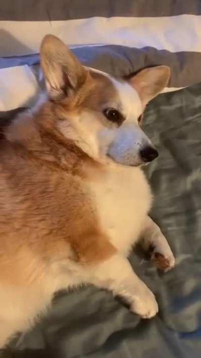 You want to walk NOW?!