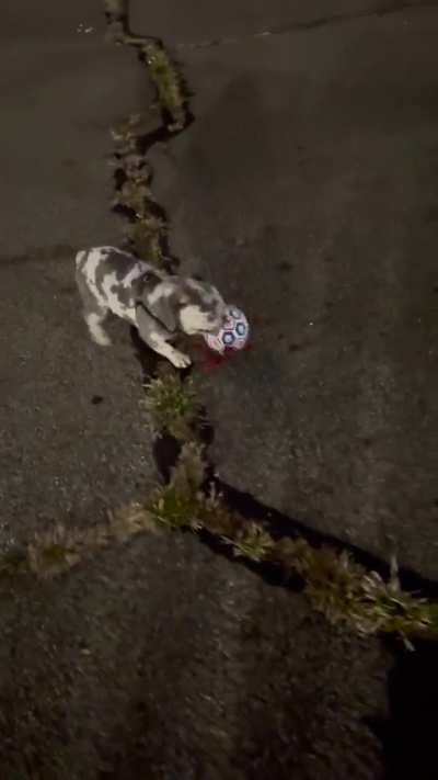 A little late night play in the park