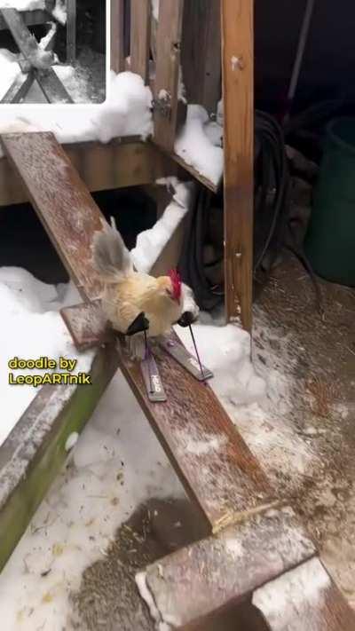 🏆 SKI - WINTER COOP 🏆