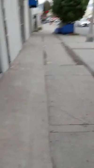 Lets see how many poos can we find in LA?