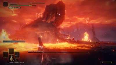 what the fuck even is this madness