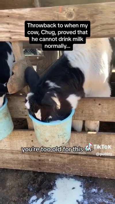 Chug earned his name!