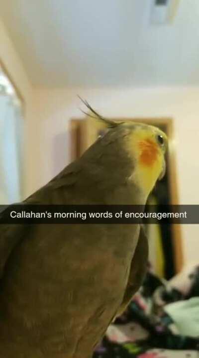 Callahan's morning words of encouragement for today!