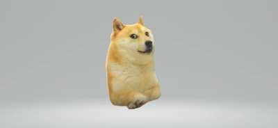 le 3d doge has arrived