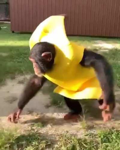 Scary Banana
