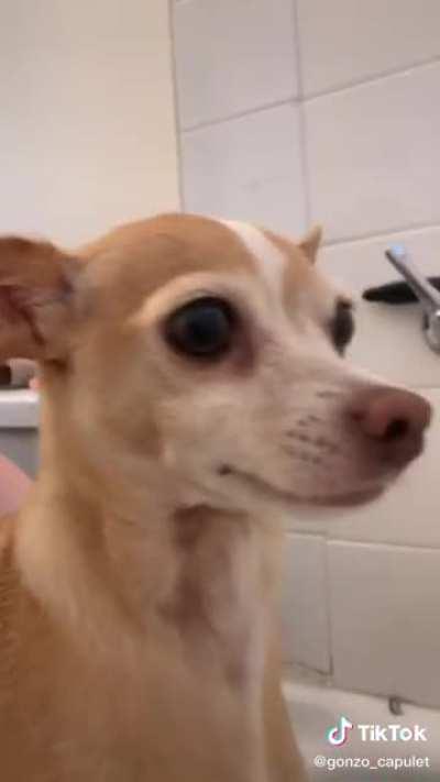 An interesting title