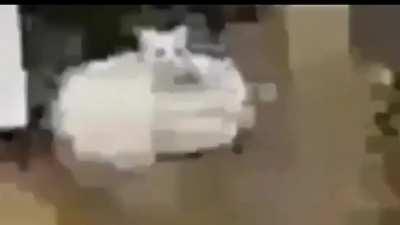 El stream se maty hasta que le llegue su nueva compu