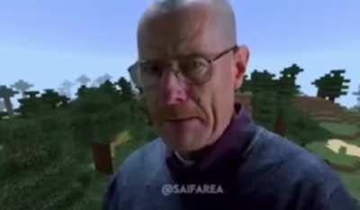 POV: You and your friend start a new world