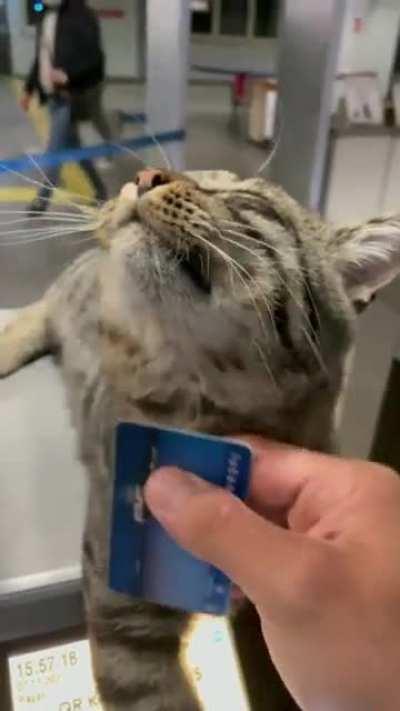 Train Conductor Collecting Fares w/ PAW PRINT RECOGNITION