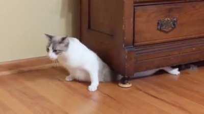 All clean under there boss. All the dust is stuck to me now.