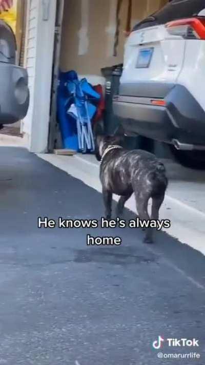 George is happy to see his Friend