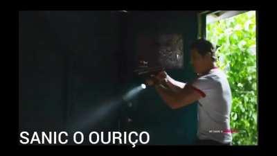 SONIC e SANIC os ouriços