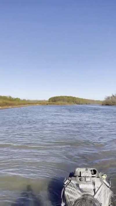 Saw this while duck hunting today. I have absolutely no idea how it got there.