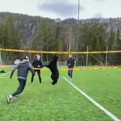 The perfect teammate