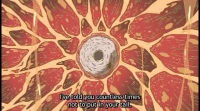 All tail moments in the series so far!