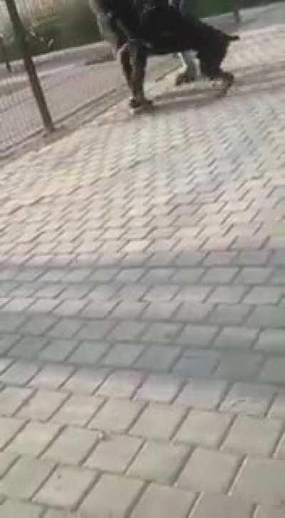 Dog bites man story.