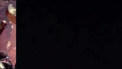 top best 10 monster hunter monsters of all time