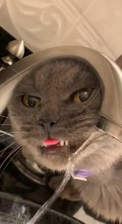 По усам текло, в рот не попало