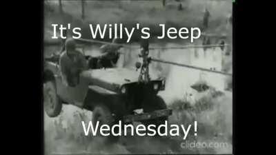 This trend shall never die