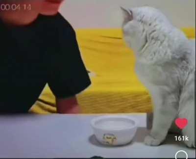 Thats my water ruined, you filthy human