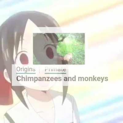 The return to monke is getting further everyday
