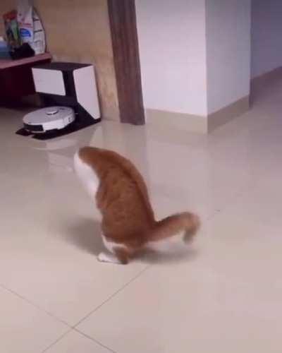 One day I will outsmart this vile attachment