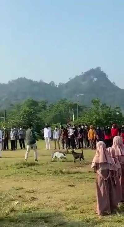 Pakistan independence day celebration.