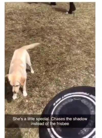 Plato demonstrating his Allegory of the Cave (352 B.C.)