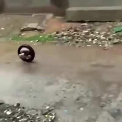 Don't you worry, got this under control! Who's next?