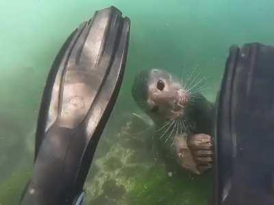 Getting your gears checked by a pro is always recommended