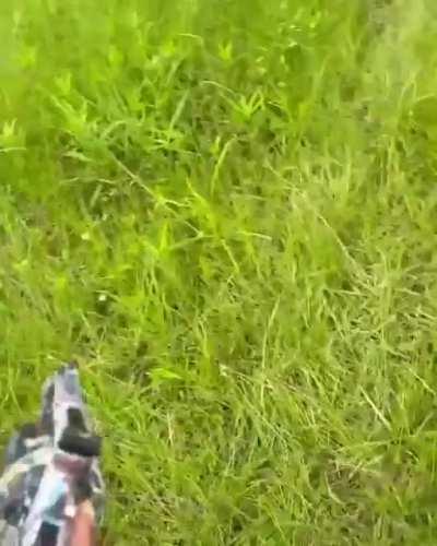 This just makes me sad