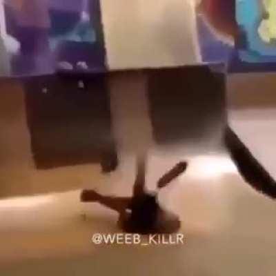 My first post on this hell hole