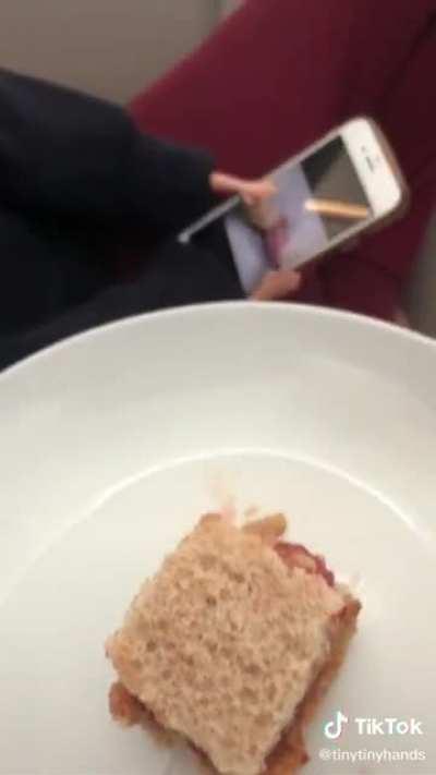 Good ol’ PB&J sandwich