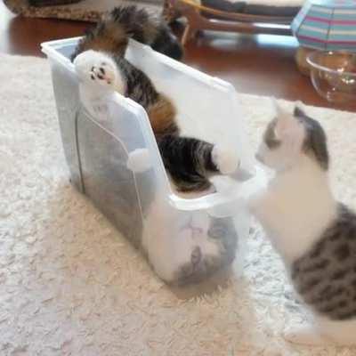 A tiny liquid learning the way