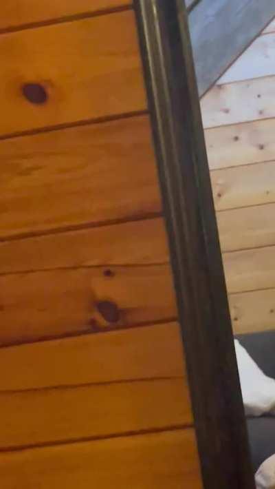 I could ride my mans BBC all day [OC] 🤤