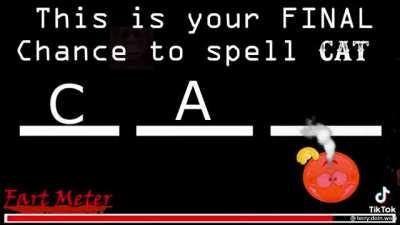 SPEL CAT CHALENGE 2021