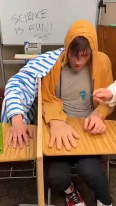 Body transfer illusion.