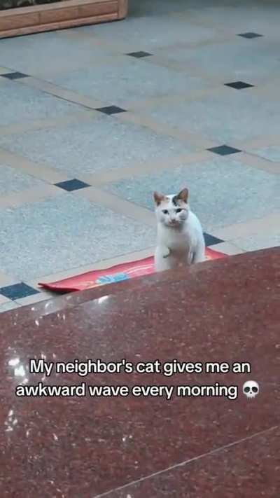 he's so shy and cute 