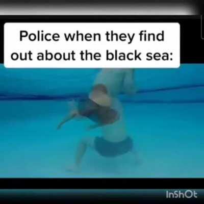 mods pls add a shitpost flair