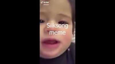 How people react when you make a Silksong meme nowadays