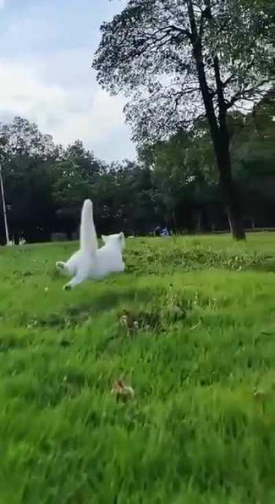 Most beautiful video ever!