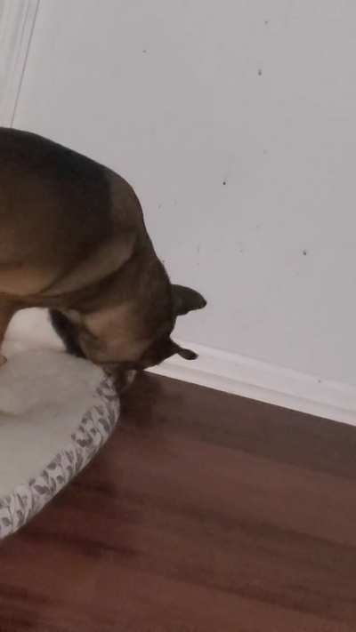 Every night before bed she has to give big boy kisses