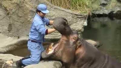 How does one build trust?