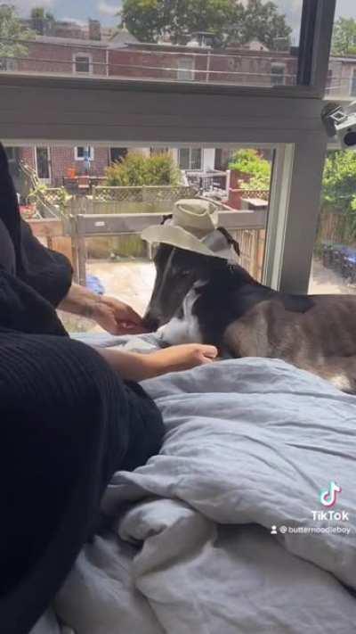 I made him a tiny hat for our beach trip