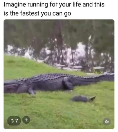 Wanna debate which animal is smarter