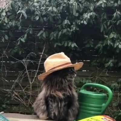 Handsome gardener
