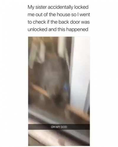 A helping paw is always appreciated