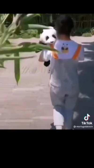 Baby panda waving back