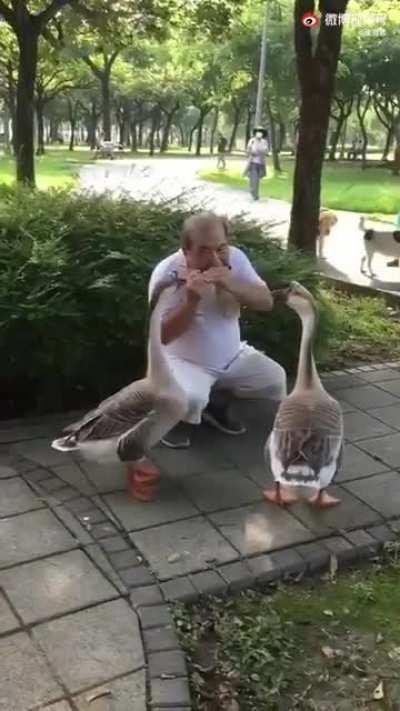 For being great audiences