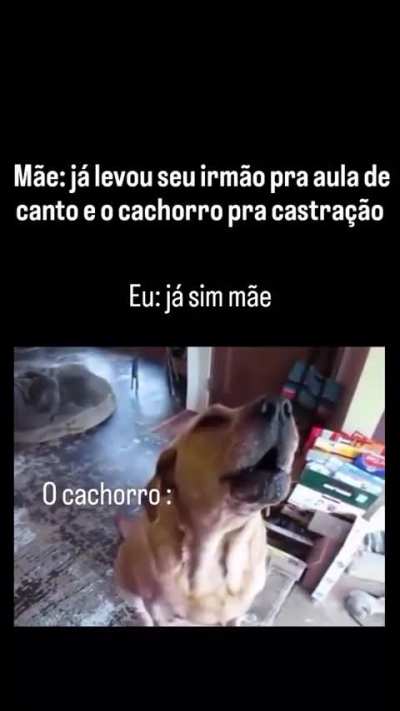 esse é definitivamente o melhor vídeo que eu já vi em toda a minha vida miserável